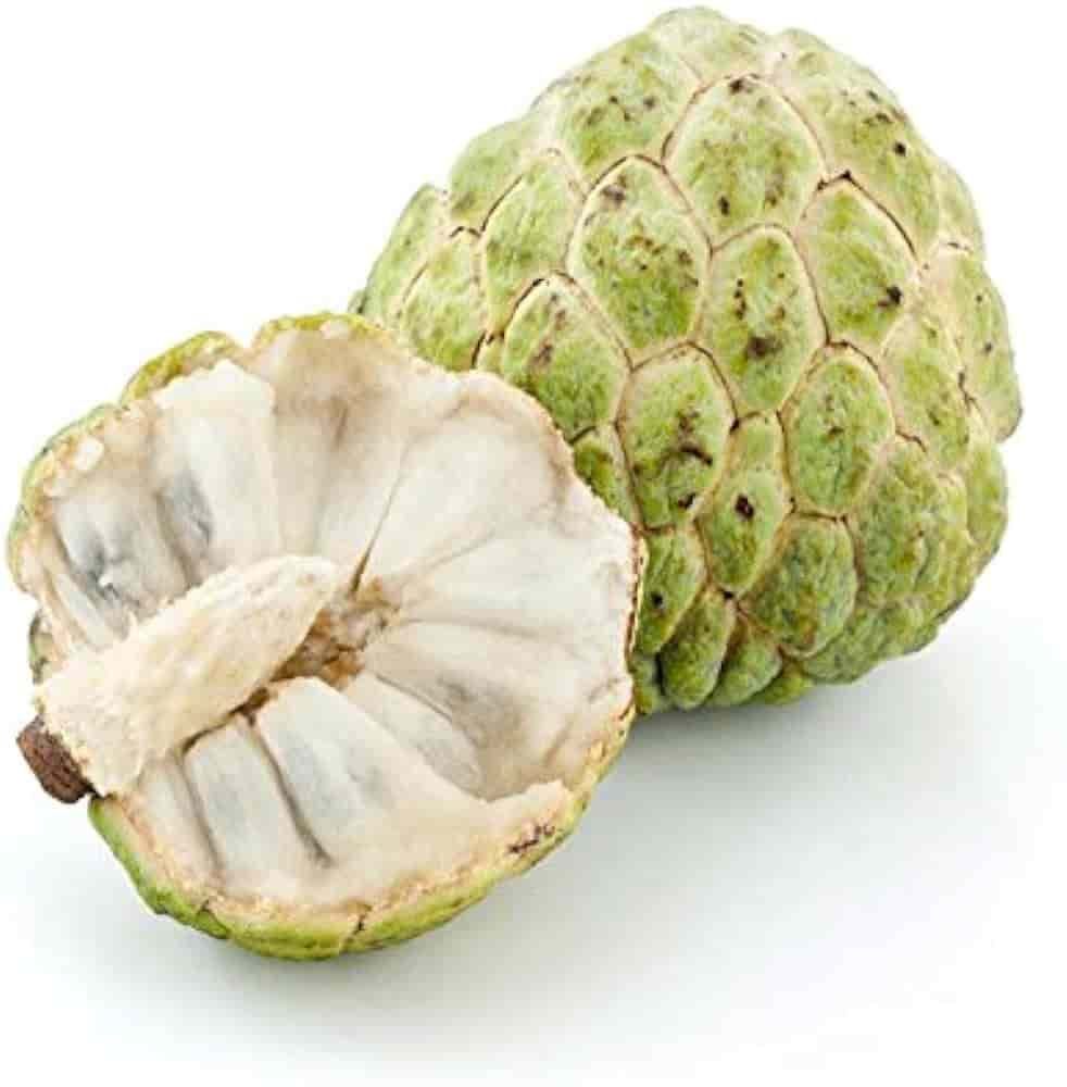 Custard Apple Supplier & Exporter from India – Buy in Bulk