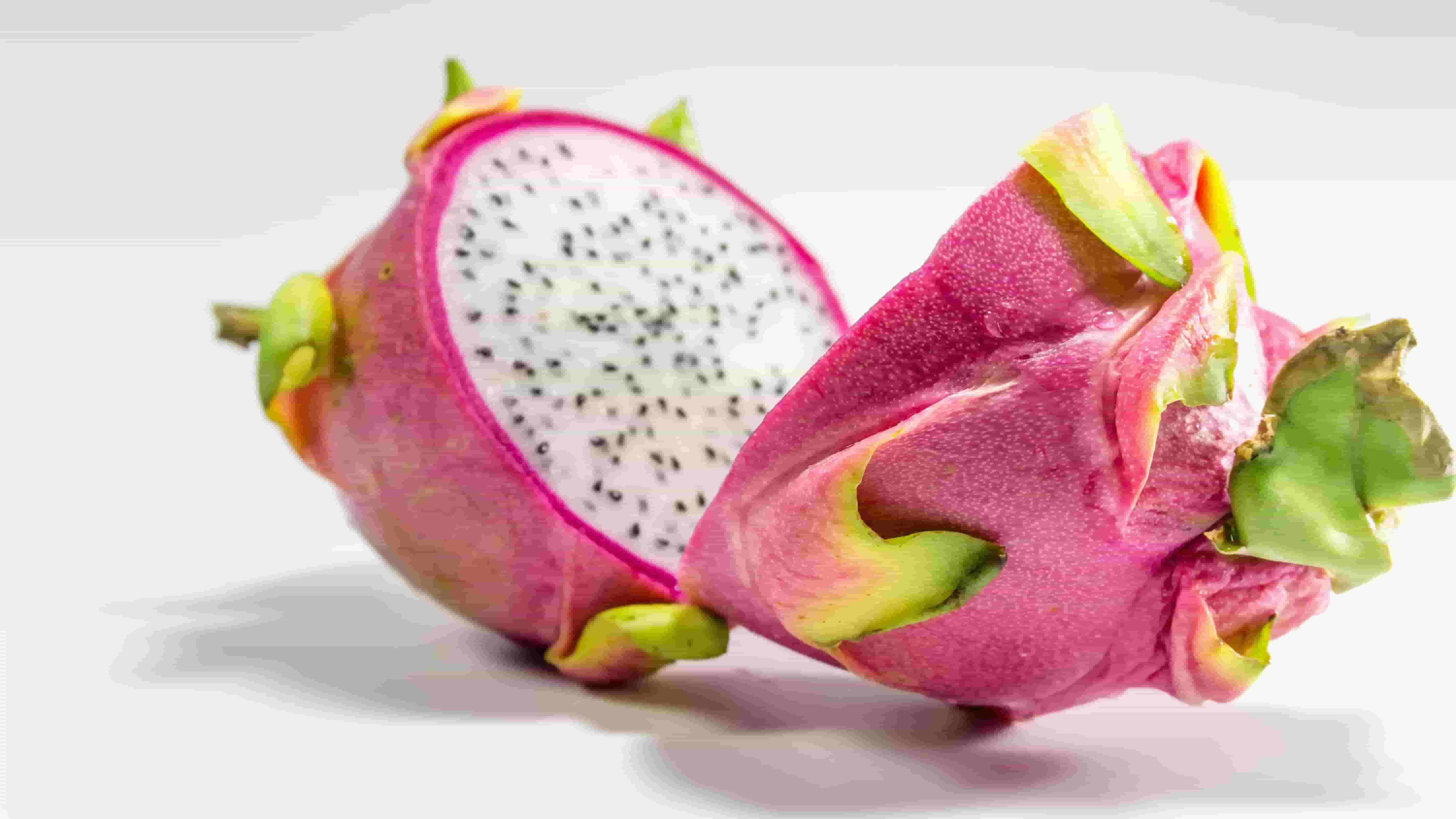 Dragon Fruit Supplier & Exporter – Bulk Orders Available