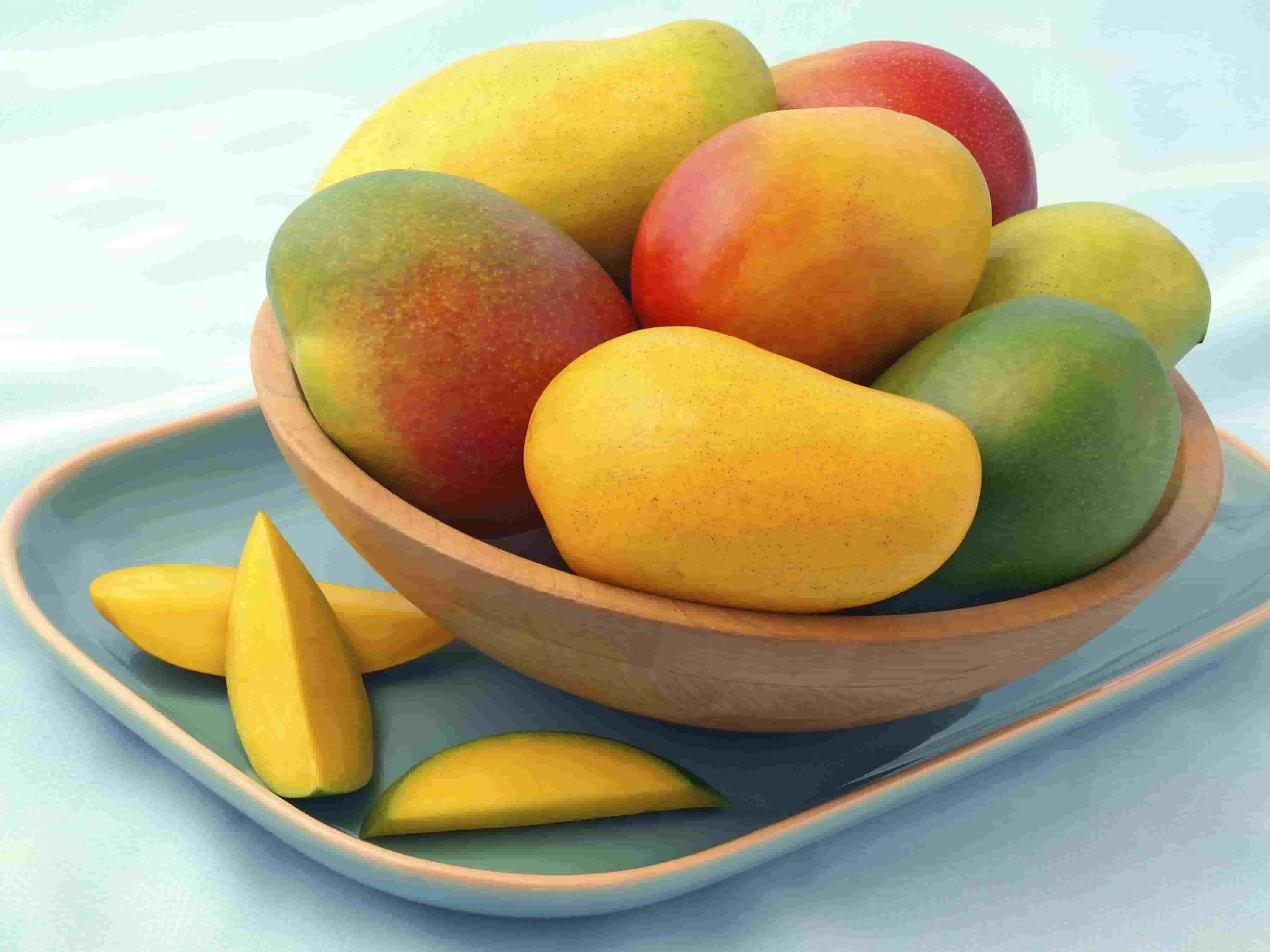 Fresh Mango Supplier & Exporter from India – Buy in Bulk