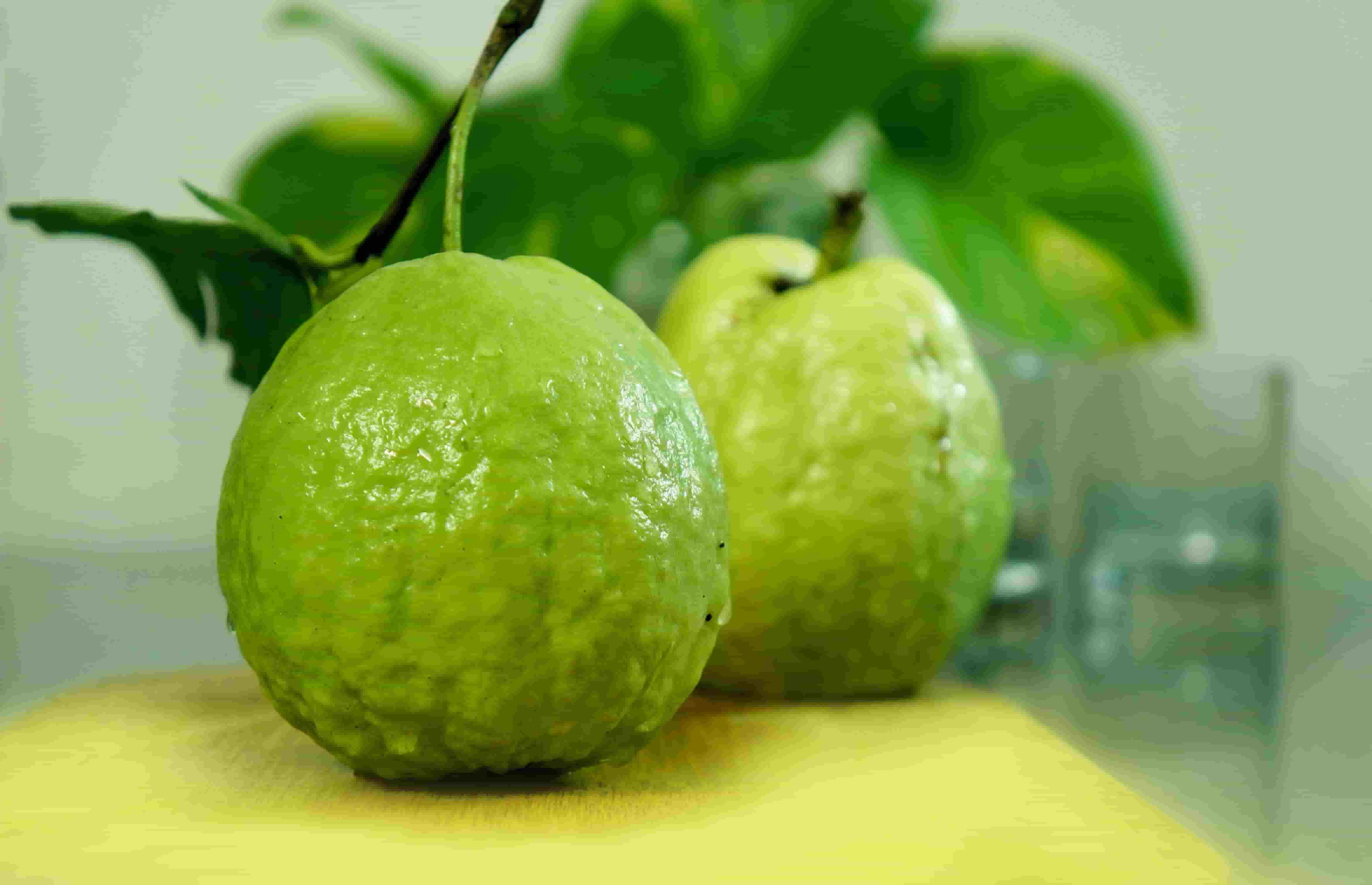 Guava Supplier & Exporter from India – Buy Guava in Bulk