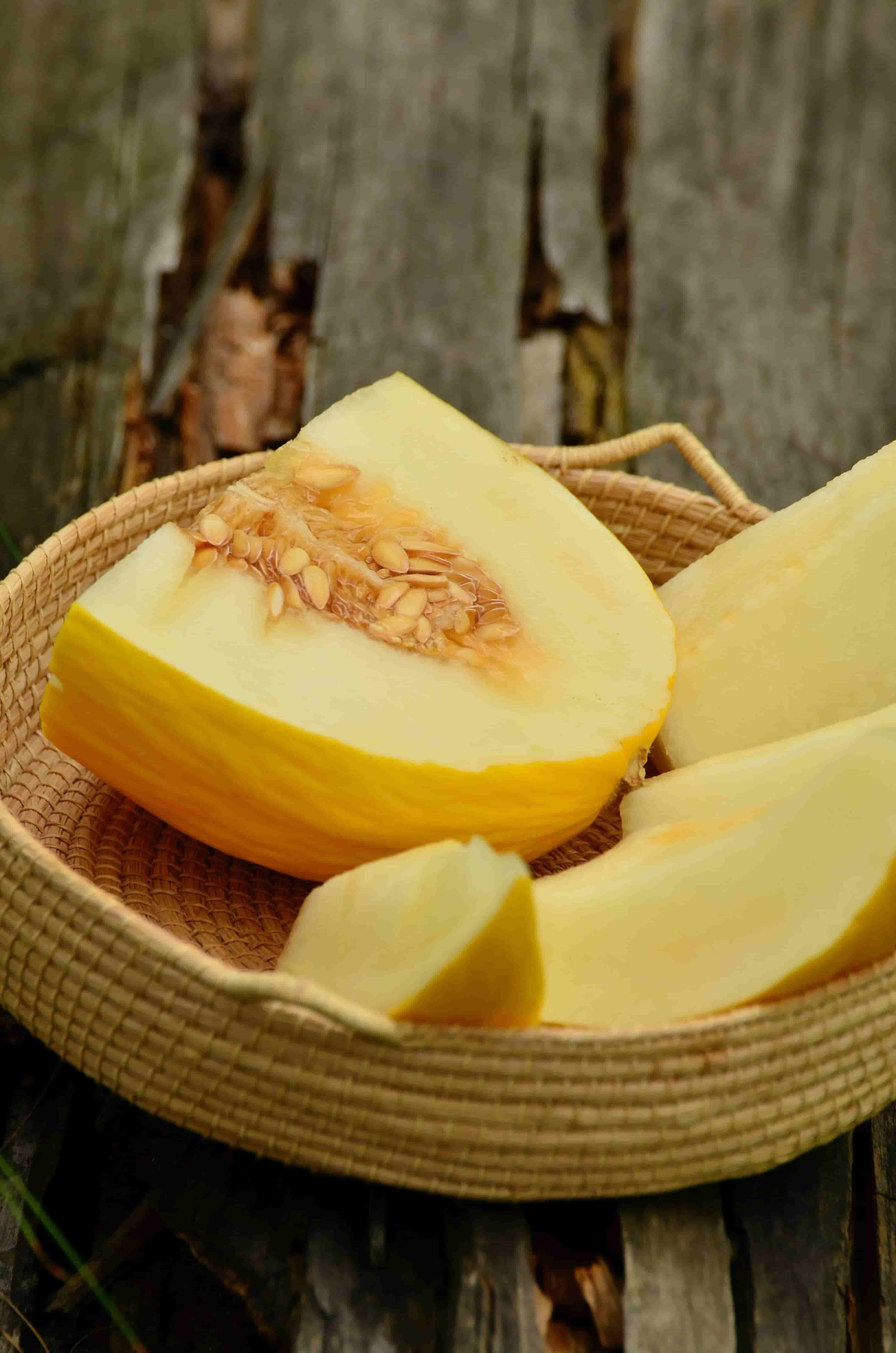 Fresh Muskmelon Supplier & Exporter from India – Bulk Orders