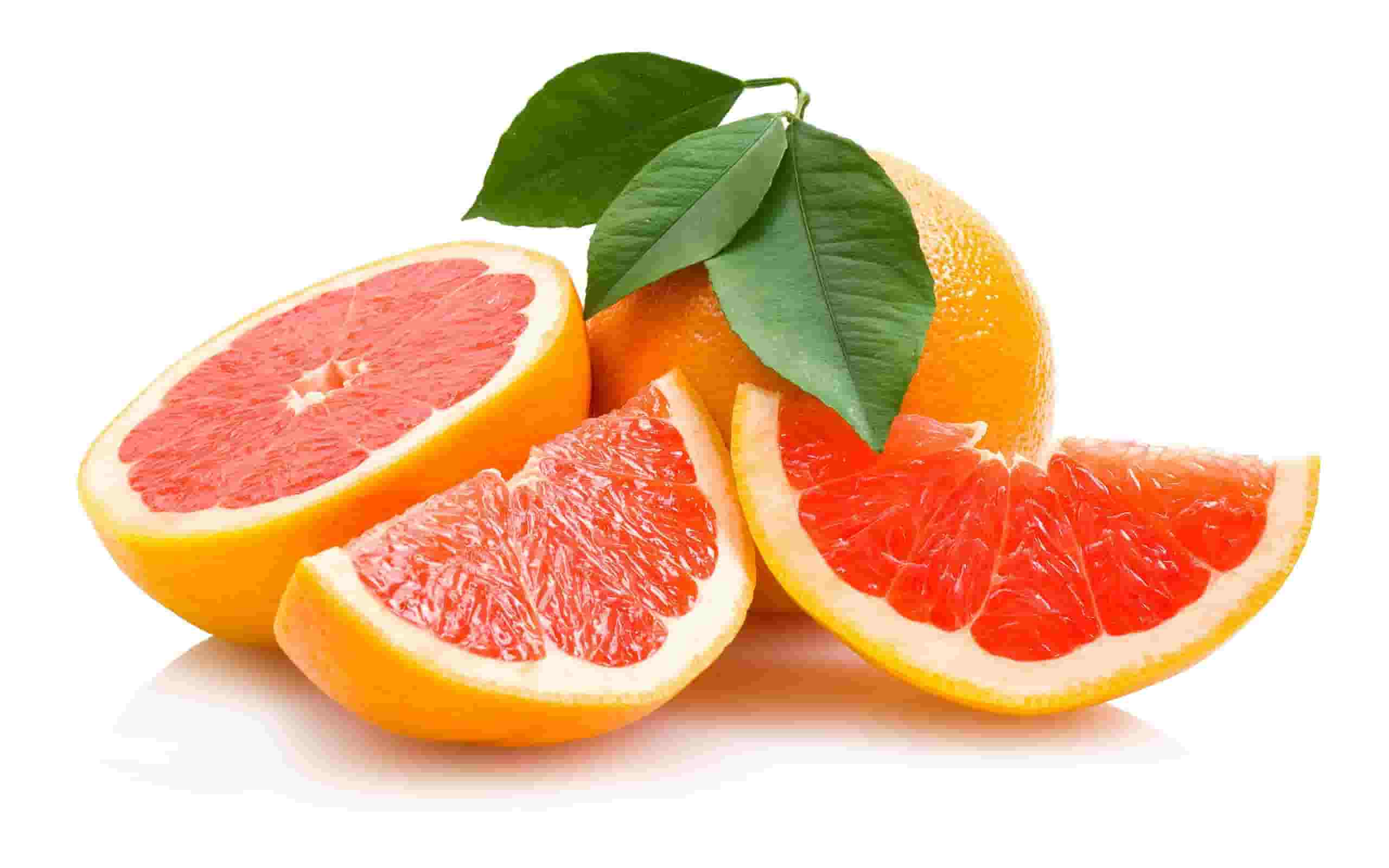 Buy Fresh Oranges in Bulk – Indian Orange Exporter