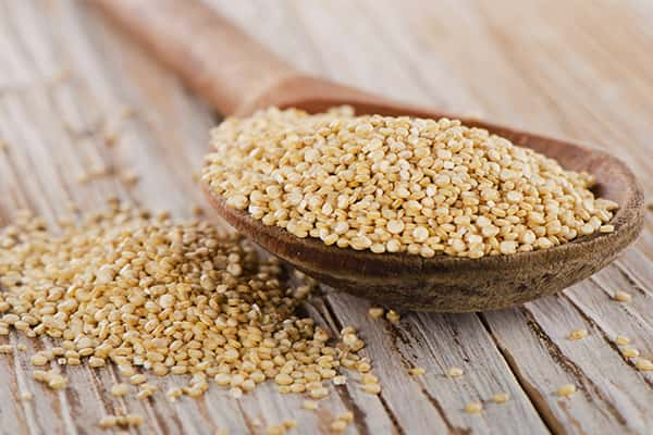 Quinoa Supplier & Exporter from India – Buy Bulk Quinoa Wholesale