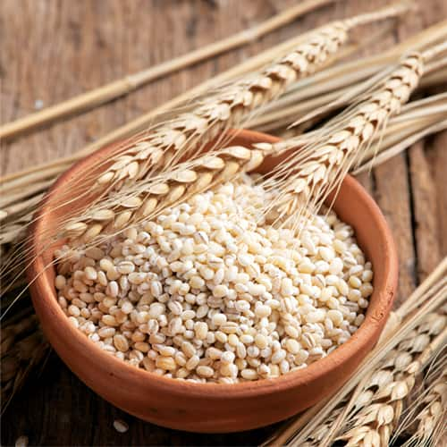 Best Barley Supplier & Exporter from India – Wholesale Orders Available