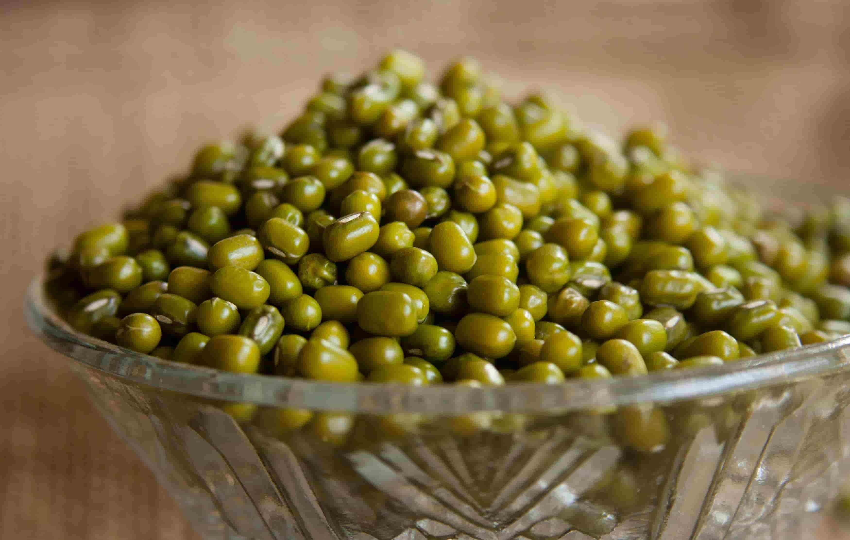 Mung Bean Supplier & Exporter from India – Buy in Bulk