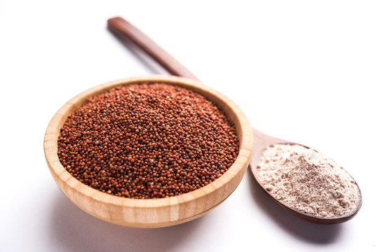 Ragi (Finger Millet) Supplier & Exporter from India – Bulk Orders