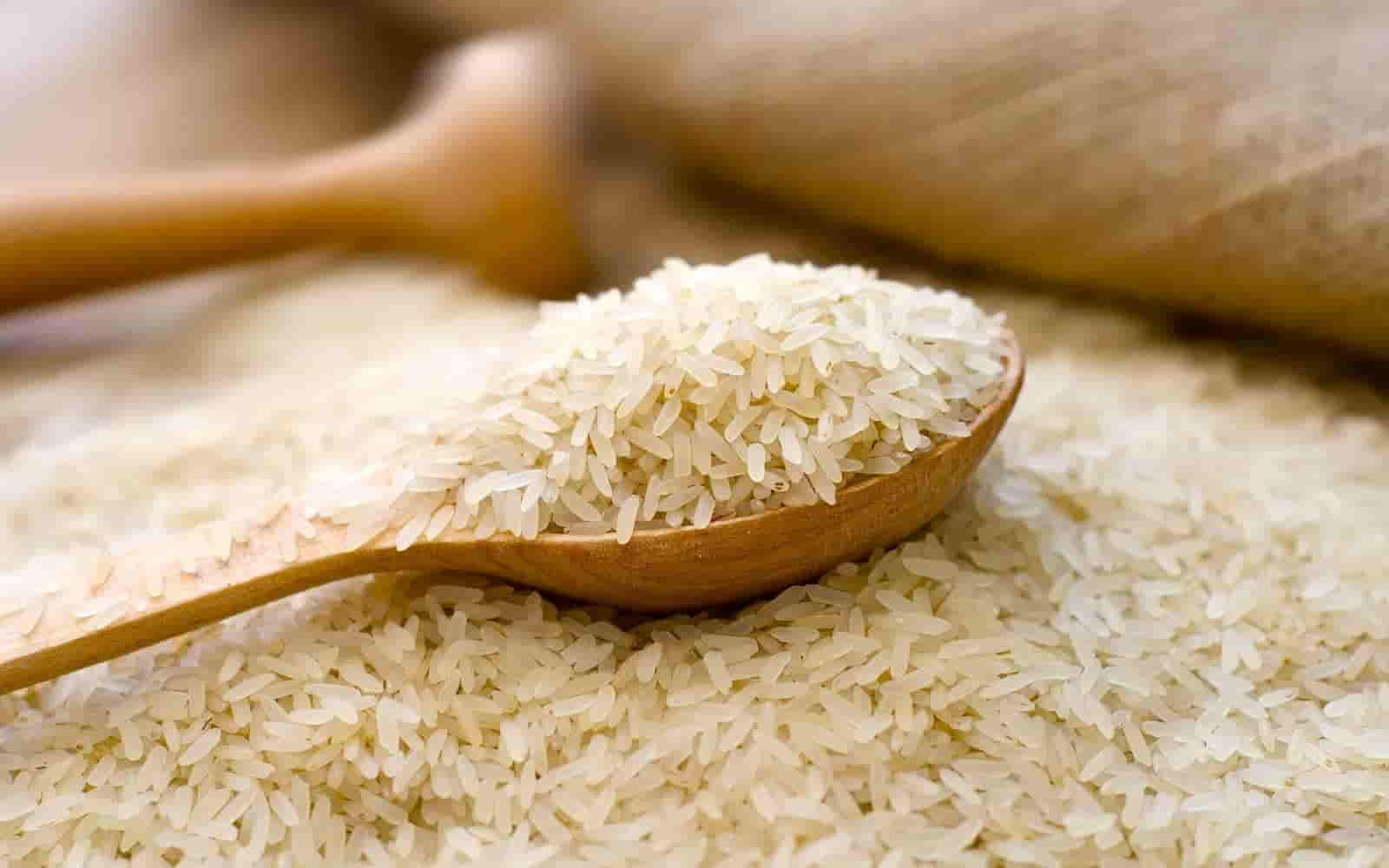 Leading Food Grains Exporter in Gujarat – Rice, Wheat, and Maize Supplier