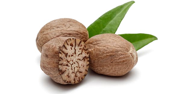 Organic Nutmeg Supplier & Exporter from India – Buy Bulk Nutmeg