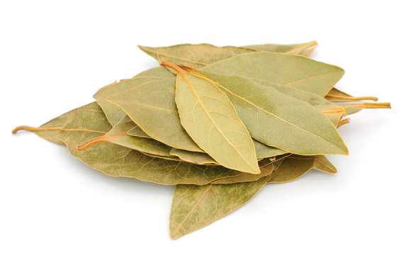 Bay Leaves Supplier & Exporter from India – Buy Bulk Bay Leaves