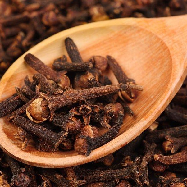 Clove Supplier & Exporter from India – Buy Bulk Whole Cloves