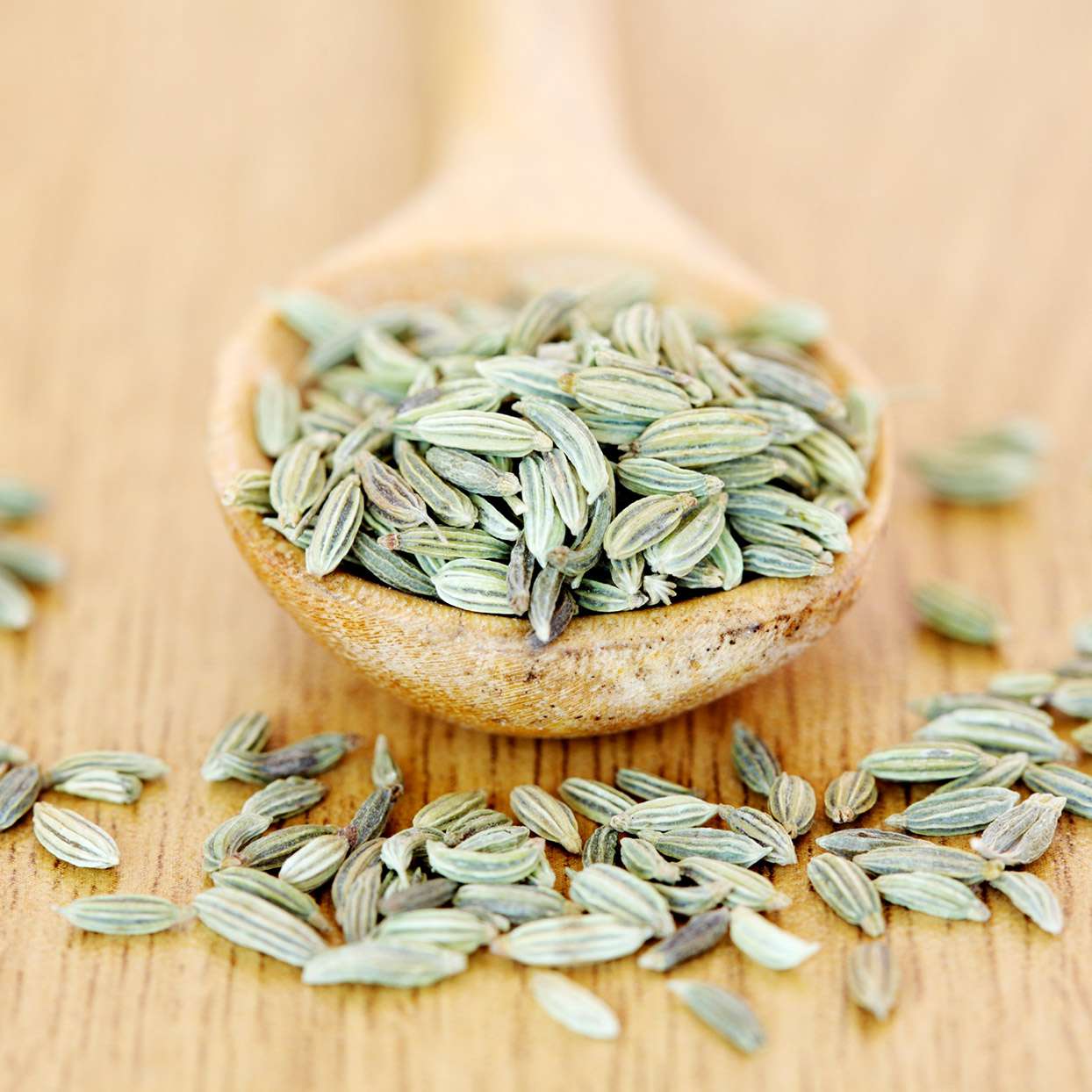 Fennel Seeds Supplier & Exporter from India – Buy Bulk Saunf