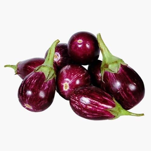 Purple Brinjal Eggplant