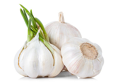 Premium White Garlic