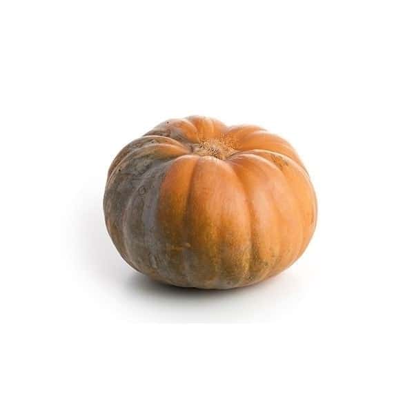 Sweet Fresh Pumpkin